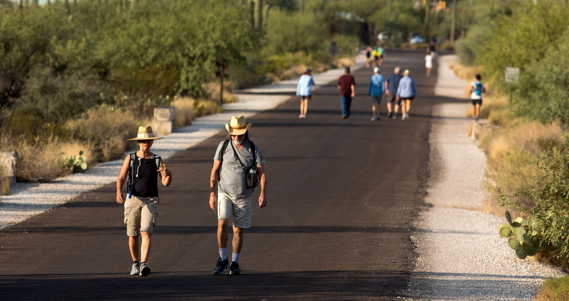 Sabino Canyon Recreation Area